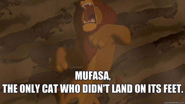 Mufasa,
the only cat who didn't land on its feet.  