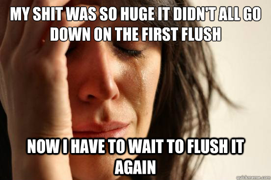 My shit was so huge it didn't all go down on the first flush Now I have to wait to flush it again  First World Problems