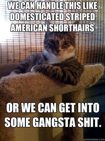 We can handle this like domesticated striped American shorthairs Or we can get into some gangsta shit.  The Most Interesting Cat in the World