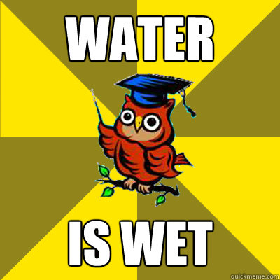 water is wet - water is wet  Observational Owl