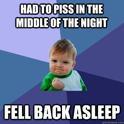 had to piss in the middle of the night fell back asleep  Success Kid