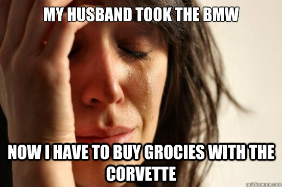 My husband took the BMW Now I have to buy grocies with the corvette  First World Problems