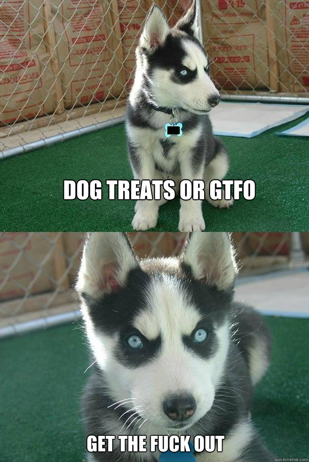 Dog treats or GTFO Get the Fuck out  Insanity puppy