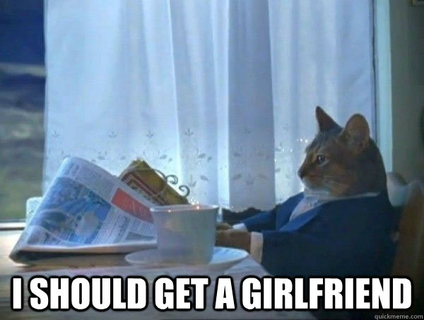  I should get a girlfriend  morning realization newspaper cat meme