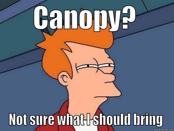 CANOPY? NOT SURE WHAT I SHOULD BRING Futurama Fry