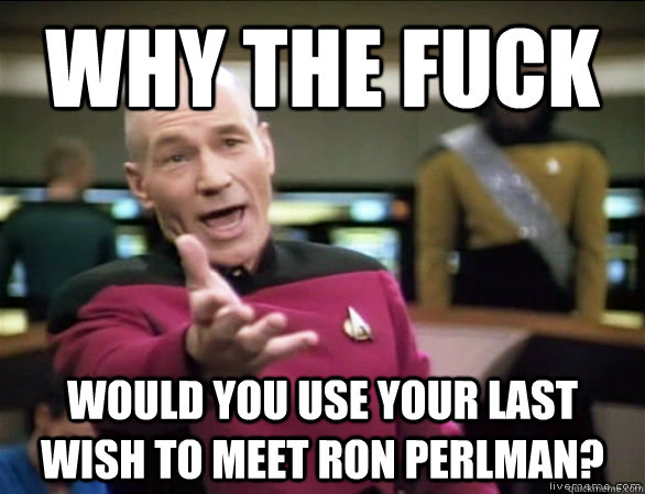 why the fuck would you use your last wish to meet Ron Perlman?  Annoyed Picard HD