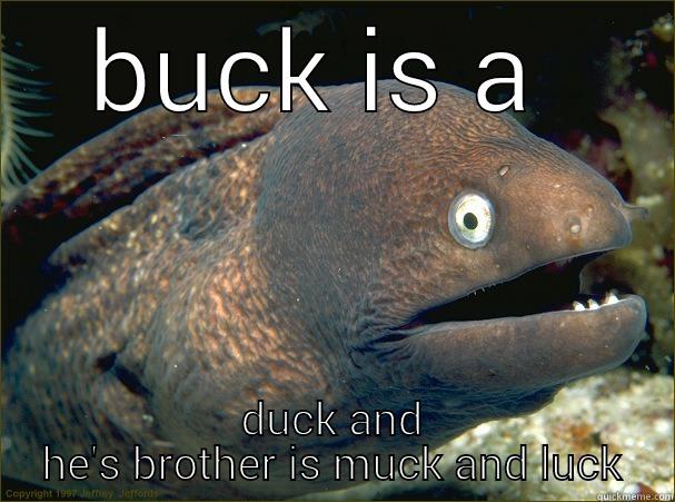 buck is a duck and he's brother is muck and luck - BUCK IS A  DUCK AND HE'S BROTHER IS MUCK AND LUCK Bad Joke Eel