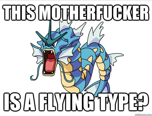THIS MOTHERFUCKER IS A FLYING TYPE?  