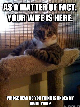 as a matter of fact, your wife is here. whose head do you think is under my right paw?  The Most Interesting Cat in the World