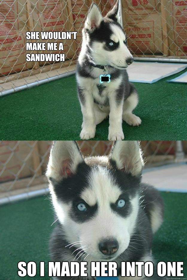 She wouldn't make me a sandwich So I made her into one  Insanity puppy