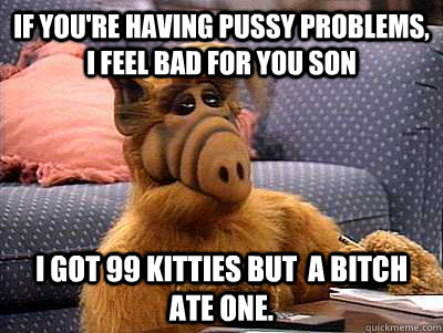 IF YOU'RE HAVING PUSSY PROBLEMS, I FEEL BAD FOR YOU SON I got 99 kitties but  a bitch ate one.  