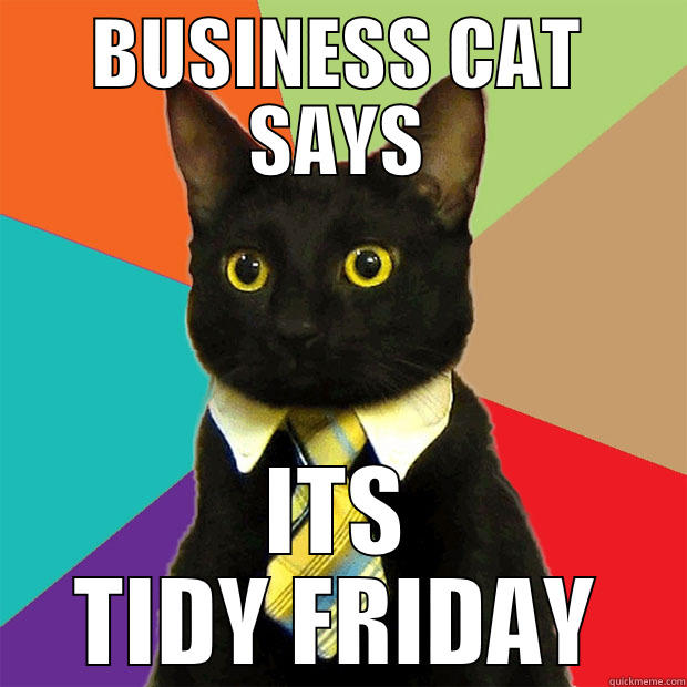 BUSINESS CAT SAYS ITS TIDY FRIDAY Business Cat