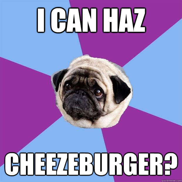 i can haz cheezeburger?  Lonely Pug
