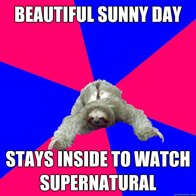Beautiful sunny day

 Stays inside to watch Supernatural
   Math Major Sloth