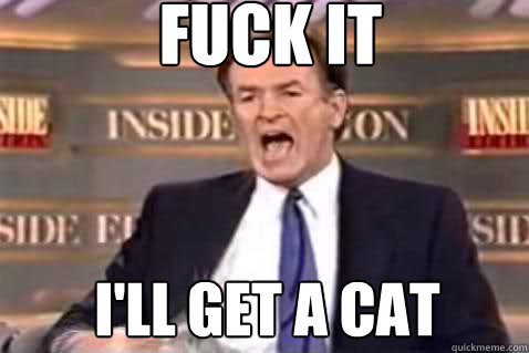 fuck it I'll Get a Cat  Fuck It Bill OReilly