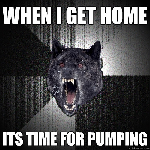 WHEN I GET HOME ITS TIME FOR PUMPING  Insanity Wolf