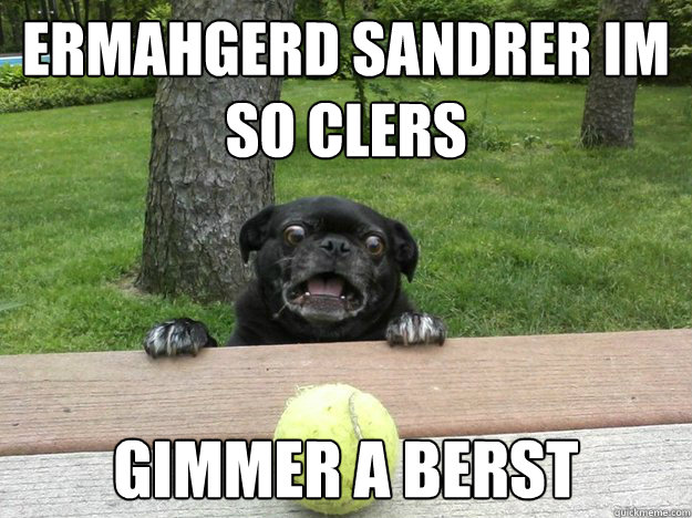 Ermahgerd SANDRER IM SO CLERS GIMMER A BERST  Berks Dog