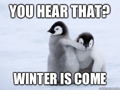 You hear that? Winter is come  Protective Penguin
