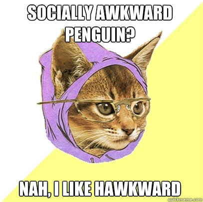 Socially Awkward penguin? nah, I like hawkward  Hipster Kitty