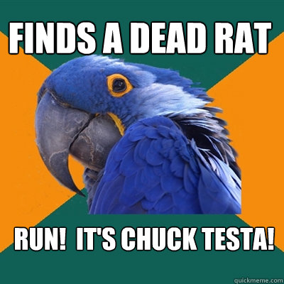 Finds a dead rat RUN!  IT'S CHUCK TESTA!  Paranoid Parrot