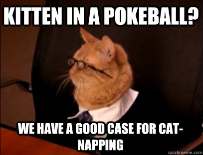 KITTEN IN A POKEBALL? WE HAVE A GOOD CASE FOR CAT-NAPPING - KITTEN IN A POKEBALL? WE HAVE A GOOD CASE FOR CAT-NAPPING  Lawyer Cat