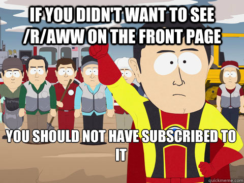 if you didn't want to see /r/aww on the front page you should not have subscribed to it  Captain Hindsight