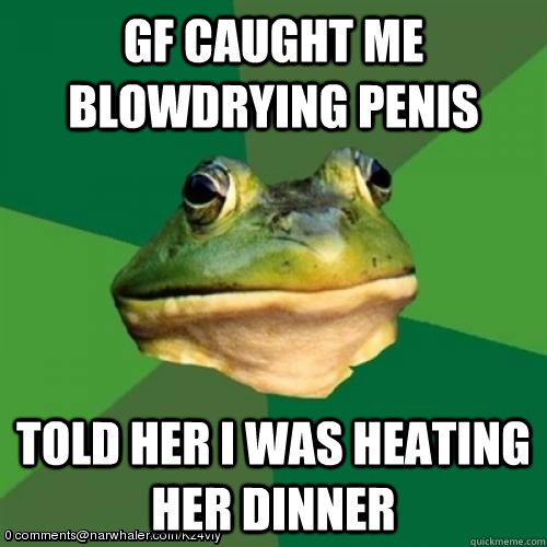 GF caught me blowdrying penis Told her i was heating her dinner   Foul Bachelor Frog