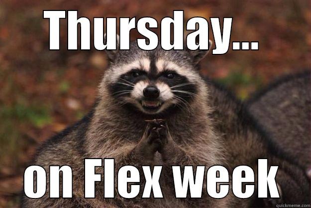 THURSDAY... ON FLEX WEEK Evil Plotting Raccoon