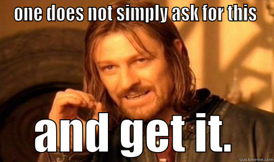 ONE DOES NOT SIMPLY ASK FOR THIS AND GET IT. Boromir