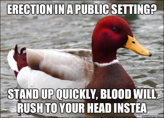 Erection in a public setting? Stand up quickly, blood will rush to your head instea  Malicious Advice Mallard