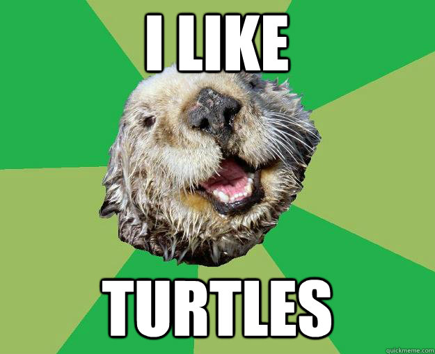 I like turtles  OCD Otter