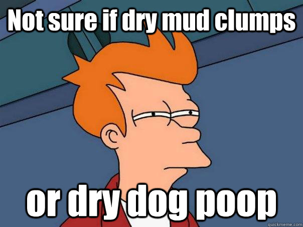 Not sure if dry mud clumps  or dry dog poop  Futurama Fry