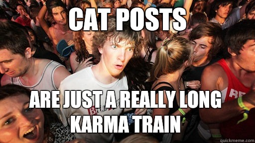 Cat posts Are just a really long karma train  Sudden Clarity Clarence