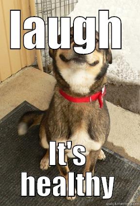 LAUGH IT'S HEALTHY Good Dog Greg