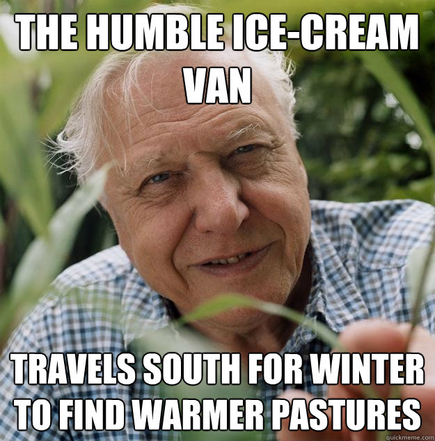 The humble ice-cream van travels south for winter to find warmer pastures - The humble ice-cream van travels south for winter to find warmer pastures  Urban Attenborough