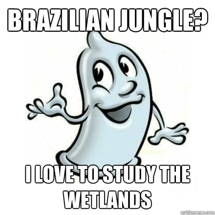 BRAZILIAN JUNGLE? I LOVE TO STUDY THE WETLANDS  