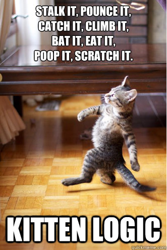 Stalk it, pounce it,
catch it, climb it,
bat it, eat it, 
poop it, scratch it. kitten logic  