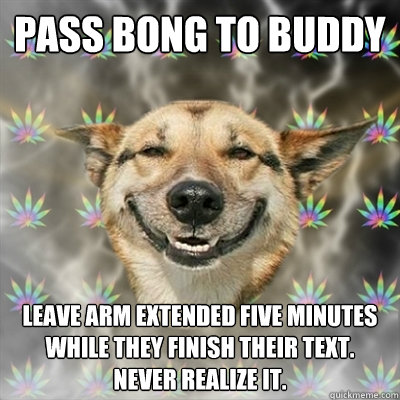 pass bong to buddy leave arm extended five minutes while they finish their text. never realize it.  Stoner Dog