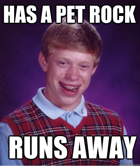 Has a Pet rock  runs away  Bad Luck Brian