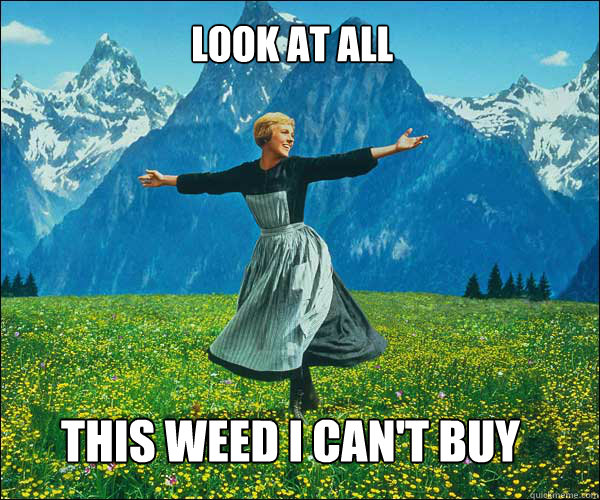 Look at all This weed i can't buy - Look at all This weed i can't buy  soundomusic