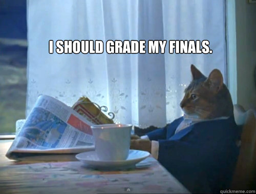 I should grade my finals.   The One Percent Cat