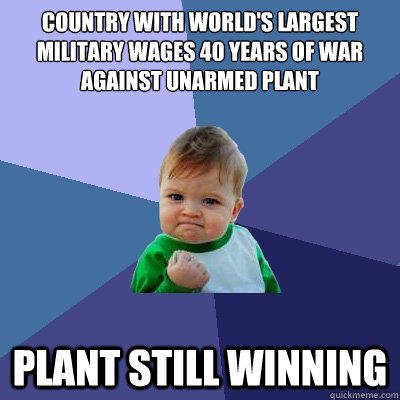 Country with world's largest military wages 40 years of war against unarmed plant plant still winning - Country with world's largest military wages 40 years of war against unarmed plant plant still winning  Success Kid