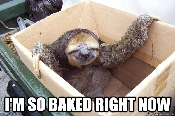  I'm so baked right now  