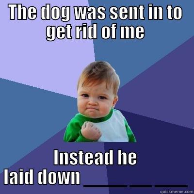 THE DOG WAS SENT IN TO GET RID OF ME INSTEAD HE LAID DOWN ____ __ ___ Success Kid