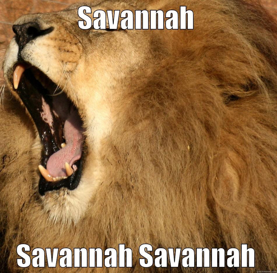 OMG OMG OMG - SAVANNAH SAVANNAH SAVANNAH Misc