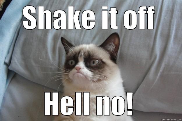 SHAKE IT OFF HELL NO! Grumpy Cat