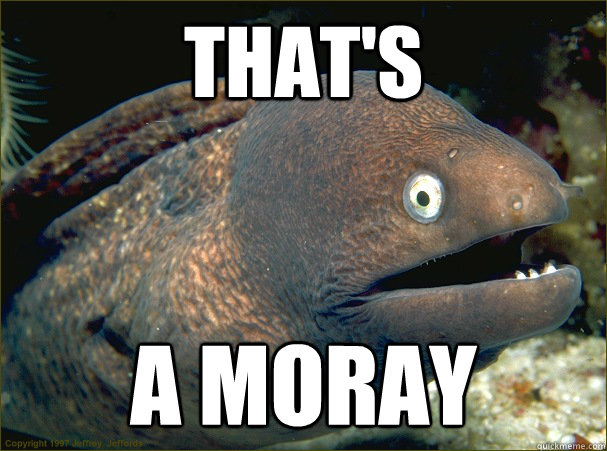 That's  A Moray  Bad Joke Eel