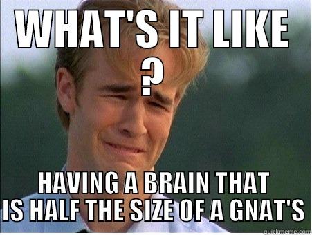 WHAT'S IT LIKE ? HAVING A BRAIN THAT IS HALF THE SIZE OF A GNAT'S 1990s Problems