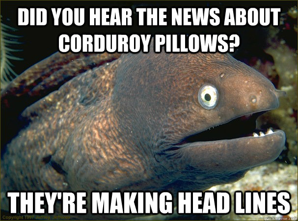 did you hear the news about corduroy pillows? they're making head lines  Bad Joke Eel
