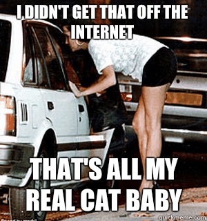 I didn't get that off the Internet That's all my real cat baby  Karma Whore
